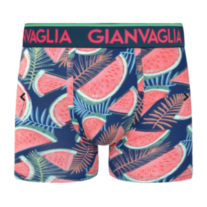 GIANVAGLIA BOXER SOFT COTTON SUMMER DESIGNS – 1τεμ
