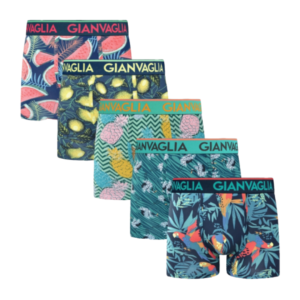 GIANVAGLIA BOXER SOFT COTTON SUMMER DESIGNS – 1τεμ